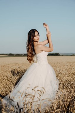 Gün batımında buğday tarlasında güzel gelin