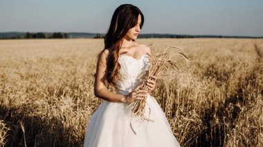 Gün batımında buğday tarlasında güzel gelin