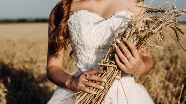 Gün batımında buğday tarlasında güzel gelin