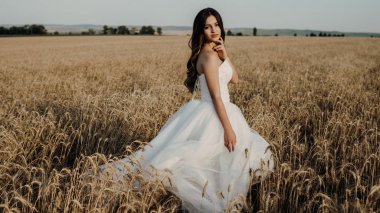 Gün batımında buğday tarlasında güzel gelin
