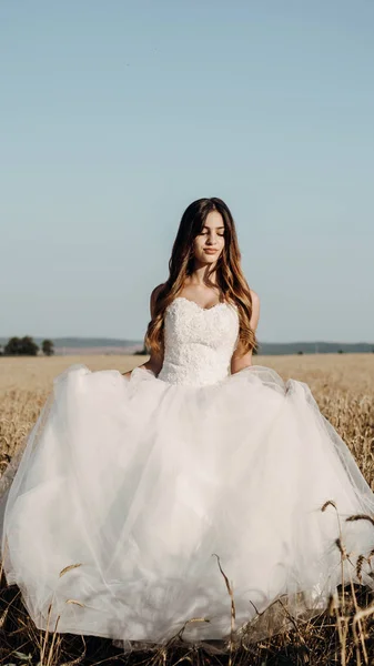 日没の小麦畑の美しい花嫁 — ストック写真