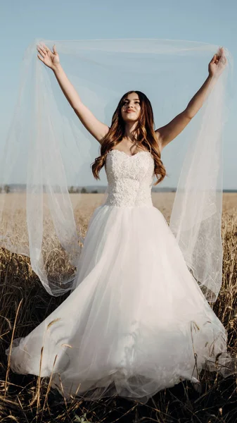 Beautiful Bride Wheat Field Sunset — Stock Photo, Image