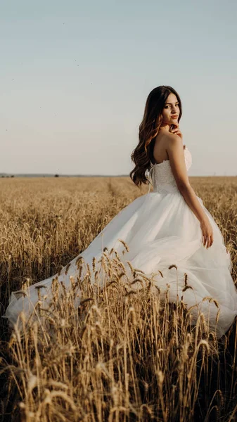 Hermosa Novia Campo Trigo Atardecer — Foto de Stock