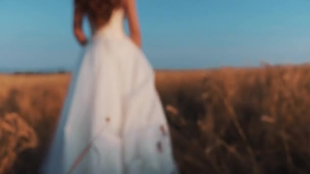 Hermosa Novia Campo Trigo Atardecer — Vídeo de stock