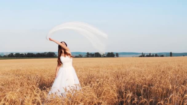 Hermosa Novia Campo Trigo Atardecer — Vídeo de stock