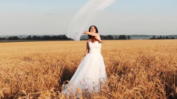 Hermosa Novia Campo Trigo Atardecer — Vídeo de stock