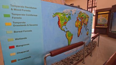 Harita Mirası: Müzedeki Güzel Hindistan Haritası. Yüksek kalite fotoğraf