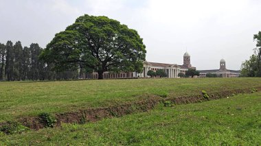 Dehradun Orman Araştırma Enstitüsü 'nü keşfediyorum. Yüksek kalite fotoğraf