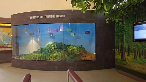 Harita Mirası: Müzedeki Güzel Hindistan Haritası. Yüksek kalite fotoğraf