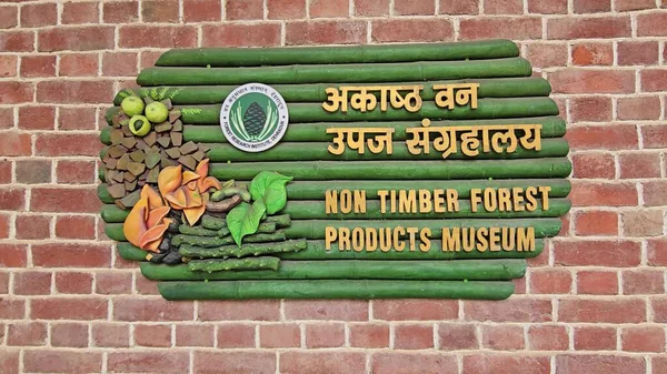 Non Kereste Ormanı Ürünleri Müzesi. Yüksek kalite fotoğraf