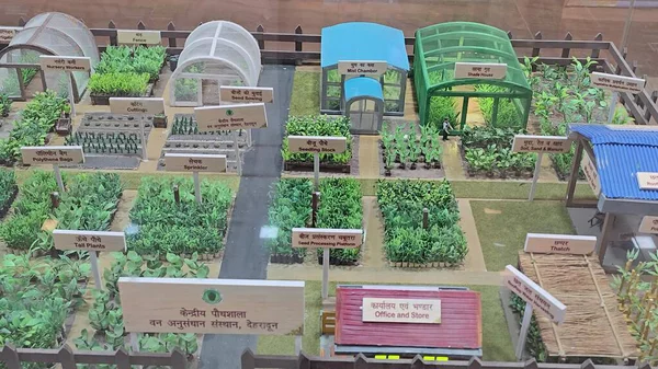 Sürdürülebilir Kereste Toplama ve Orman Yenilenmesinde Orman Çalışma Planları Rolü. Yüksek kalite fotoğraf