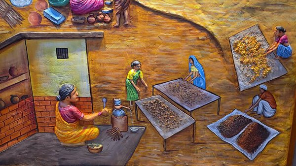 Elderly Women Harvesting Pulses in Traditional Farming. High quality photo