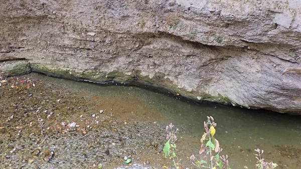 Doğanın Fısıltıları: Hindistan Nehir Kıyıları Boyunca Taşlar. Yüksek kalite fotoğraf