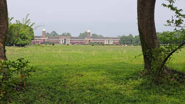Orman Araştırma Enstitüsü Tranquil Garden View. Yüksek kalite fotoğraf