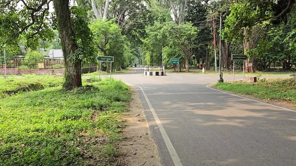 FRI Dehradun Geçidi 'nin Büyüleyici Yolları. Yüksek kalite fotoğraf