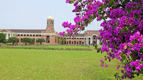 Uttarakhand 'daki Doğal Güzellik Ormanı Araştırma Enstitüsü. Yüksek kalite fotoğraf