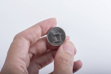 Birleşik Arap Emirlikleri 25 fiş elinde