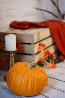 Sonbahar sıcacık dekorasyonu. Balkabağı, mum, ahşap sandık ve örgü atmalı.