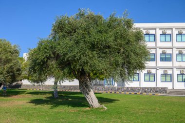 Kıbrıs 'taki Lefke Üniversitesi' nde bir üniversite yatakhanesinin dış görünüşü, modern mimari, öğrenci evleri, güneşli günler, iyi korunan kampüs ortamı.