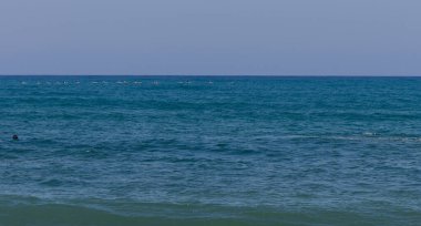 Akdeniz 'in ışıl ışıl mavi sularında uçan pembe flamingoların manzaralı seyahat görüntüleri..