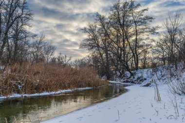 Kışın Severodonetsk yakınlarında karlı bankalar ve donmuş ağaçlarla birlikte Picturesque Borovaya Nehri. Soğuk havada sakin mevsimsel doğa manzarası.