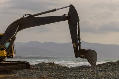 Kıbrıs 'ta deniz kıyısında çalışan sarı kazıcı