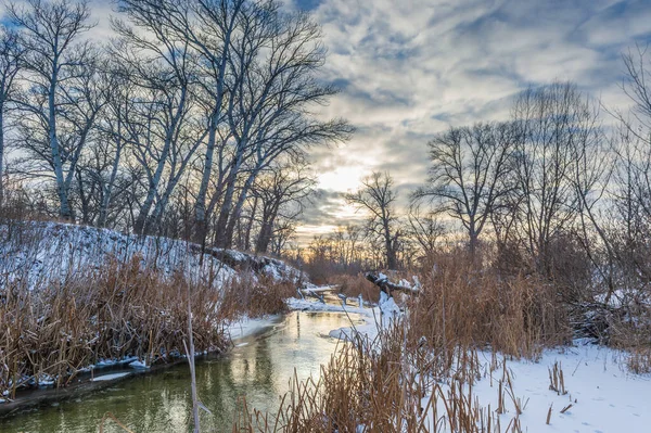 Severodonetsk yakınlarındaki Borovaya Nehri 'nin karlı kış manzarası. Donmuş su ve beyaz ağaçlar sakin ve doğal bir zemin oluşturur..