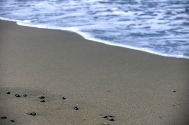 Kıbrıs 'ın kayalık kıyılarında deniz dalgaları ve kumlu plajlarının manzarası, seyahat, yaz tatilleri ve Akdeniz doğasının sembolü.