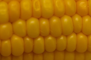 Kaynatılmış Tatlı Mısır Çekirdeklerinin Yakın Çekimi