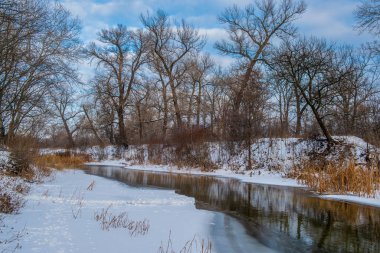 Severodonetsk yakınlarındaki Borovaya Nehri 'nde sakin sular, karla kaplı kıyılar ve temiz gökyüzü ile huzurlu bir kış manzarası. Sakin doğa ve mevsimlik manzara.