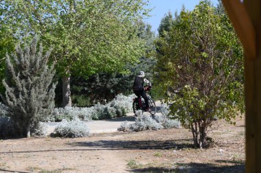 Bir bisikletçi, canlı yeşil ağaçlar ve mis kokulu çalılarla çevrili, verimli bir parkta, dolambaçlı bir patika boyunca yol alır. Güneş parıldıyor, açık hava aktiviteleri için neşeli bir atmosfer yaratıyor..