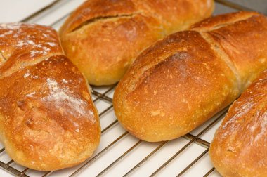 Kırsal ahşap mutfak yüzeyinde ev yapımı kabuklu ekmek. Aşçılık geçmişi, yemek tarifleri ve başyazılar için ideal.