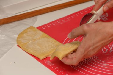 Parker Evi Rolls-Royce 'u Dilimleyen Kadın