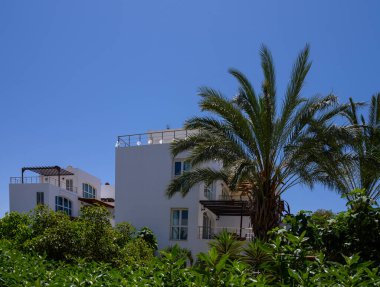 Kıbrıs Rum Kesimi Konut Kompleksindeki Tropikal Ağaçlar Arasındaki Beyaz Villalar