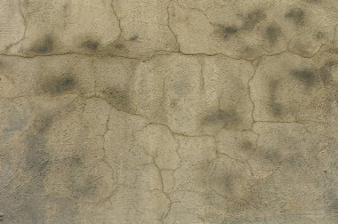 Çatlaklar ve lekeler yıpranmış bir duvarı süslüyor, kentsel hayat ve doğanın zaman içindeki etkileri hakkında hikayeler anlatıyor..