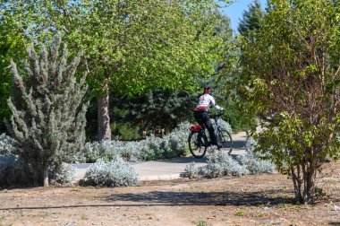 Bir bisikletçi kıvrımlı bir patika boyunca canlı yeşillikler ve çiçek açan çalılarla çevrili bir şekilde pedal çeviriyor. Parlak güneş ışığı, sakin atmosfere sıcaklık katar. Rahatlamaya ve neşeye davetiye çıkarır..