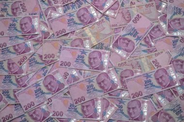 Pembe banknotlar bir yüzeyi kaplıyor. Detaylı portreler ve yumuşak ışık altında canlı desenler vurgulanıyor..