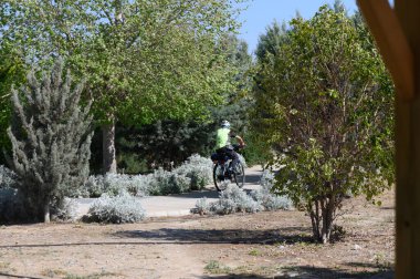 Çevresi gür ağaçlar ve filizlenen çalılarla çevriliyken, parlak bir kıyafet pedalına sarılmış bir bisikletçi. Sakin bir ortam, açık hava macerası için mükemmeldir..