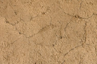 Çatlak dünyanın ayrıntıları, öğleden sonra güneş ışığı ve kuru koşulların oluşturduğu karmaşık desenleri ortaya koyuyor..