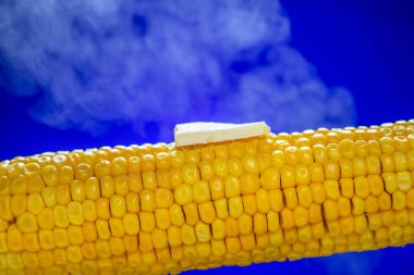 Mavi arka planda erimiş tereyağlı haşlanmış tatlı mısır.