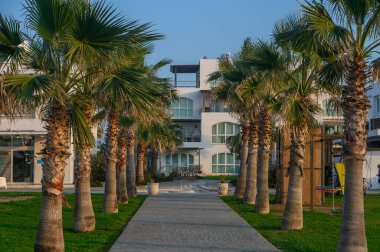 Palmiyelerle kaplı bir patikada sakin bir yürüyüş, altın saat boyunca huzurlu bir sahil varış noktasına götürür..