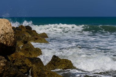 Açık mavi dalgalar Kıbrıs 'ın parlak güneşi altında kayalık kıyı şeridini vuruyor. Akdeniz 'in doğal enerjisi ve güzelliği bir kıyı sahnesinde ele geçirildi.