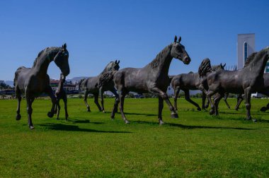 Üniversite Kampüsündeki Bronz Atlar ve Cami