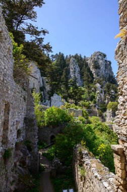 St. Hilarion Kalesi 'nden panoramik manzara çam ağaçlarıyla kaplı bir dağ yamacına bakıyor. Kuzey Kıbrıs 'tan barışçıl bir doğal manzara.