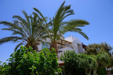 Kuzey Kıbrıs 'ta sakin bir yerleşim bölgesinde tropikal yeşilliğe sahip beyaz villalar.