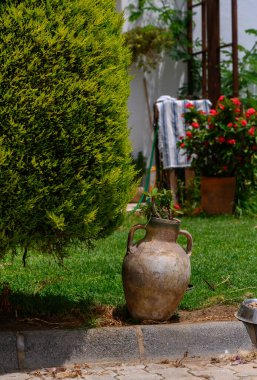 Geleneksel bir kil testisi bir çalılığın altına yerleştirilmiş, Akdeniz 'de kırsal bir bahçe dekoru olarak hizmet veriyor. Kıbrıs 'ın açık hava tarzının büyüleyici bir unsuru.