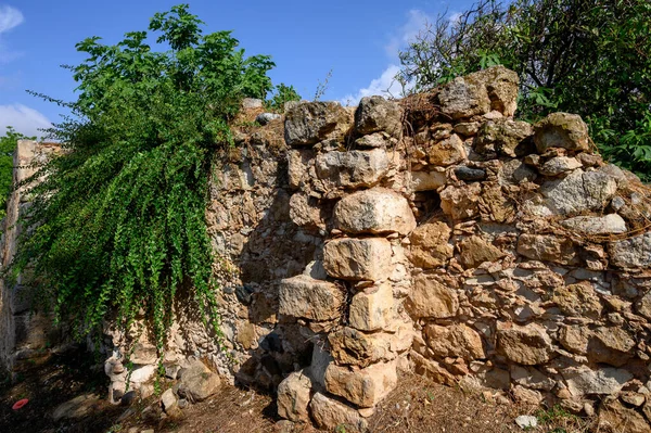 Eskiler 'in yıpranmış taş duvarı kısmen yabani otlar ve yosunlarla kaplanmış, doğanın kırsal cazibesini yakalıyor ve eski mimariyi ele geçiriyor. Kıbrıs 'ta Fotoğraf.
