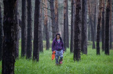 Ukrayna, Purdovka yakınlarındaki bir çam ormanında ağaçlar ve sonbahar orman zeminiyle çevrili bir kadın mantar topluyor..