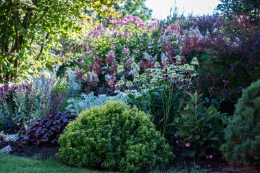 Baharda renkli bahçeler