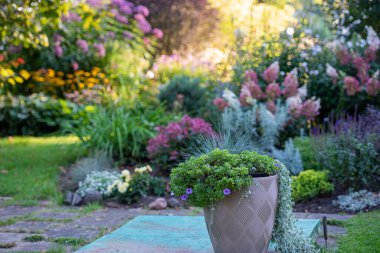 Çiçekli çiçek bahçesi